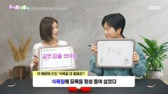 [우리말 나들이] 우리말 나들이 - 식목일, MBC 260403 방송
