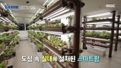 도심 한복판에 뿌리내린 도시 농업의 가능성!, MBC 221113 방송