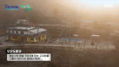 석탄산업의 흥망성쇠를 따라 걷는 운탄고도, 모운동마을, MBC 221225 방송