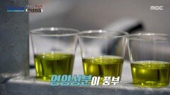 [MBC 다큐프라임] 최상위 신선도와 품질, 영양성분이 풍부한 엑스트라 버진 올리브유, MBC 260301 방송