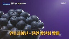 [MBC 다큐프라임] 천연 항산화 성분인 블루베리 속 안토시아닌, MBC 260412 방송