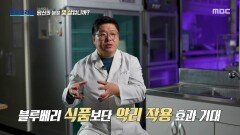 [MBC 다큐프라임] 백내장 예방에 큰 도움이 되는 블루베리, MBC 260412 방송