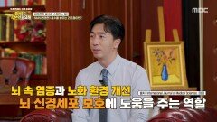 [MBC 다큐프라임] 세포 깊숙이 스며들어 노화 예방에 도움이 되는 리포좀 NMN, MBC 260607 방송