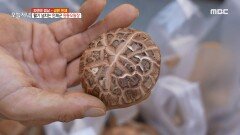 버섯으로 유명한 인제군의 원통 오일장, MBC 230921 방송