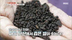 산에서 캐낸 검은 쌀의 정체는?, MBC 231127 방송 