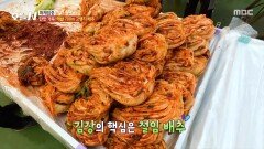 김장이 즐거워진다 평창에서 열리는 특별한 김장 축제, MBC 251112 방송
