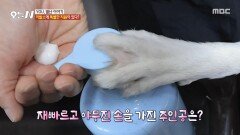손님, 샴푸해 드릴까요? 이발소 1등 직원 깡준이, MBC 251120 방송