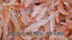 김장철에 꼭 필요한 동백하, 젓새우!, MBC 251127 방송