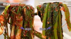 김치 종류만 15종🥬 제철 재료를 활용한 다양한 김치의 향연, MBC 251201 방송