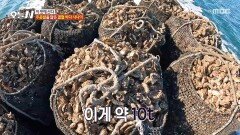 한순간도 방심 금물 스피드가 생명인 굴 세척 작업!, MBC 251215 방송