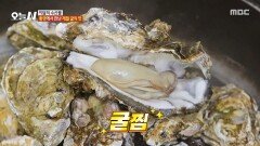 겨울 바다의 우유🤤 통영 제철 굴 한상 차림의 맛은?!, MBC 251216 방송