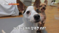가족 이름을 읽는다? 정확히 읽고 심부름까지 척척, MBC 251217 방송