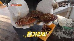 회로도 즐길 수 있는 홍가리비 선별 끝에 드러난 비주얼!, MBC 260112 방송