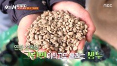 전 세계 생두 총출동! 냄새만 맡아도 취하는 향긋한 현장, MBC 260126 방송