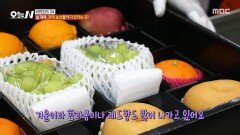 [오늘 N] 전국 농산물이 다 모이는 곳 설 선물세트가 집에 도착하기까지, MBC 260210 방송