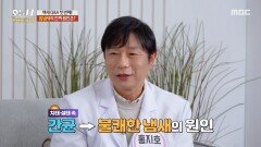 [오늘 N 백세로그인] 입 냄새의 80~90%은 이곳에서 발생한다!, MBC 260410 방송