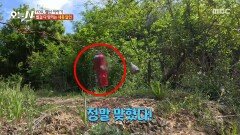 [오늘 N] 새총 하나로 세상을 평정 새총 달인이 보여주는 경이로운 '백발백중', MBC 260429 방송