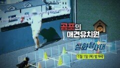 [343회 예고] 떡방앗간과 소금빵 & 공포의 애견유치원, MBC 260101 방송