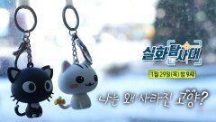 [347회 예고] 공포의 확성기녀 & 나는 왜 사라진 고양?, MBC 260129 방송