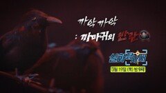 [실화탐사대 352회 예고] 요양원이 숨긴 그날의 진실 & 까악까악 : 까마귀의 반란, MBC 260319 방송