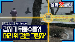 [실화탐사대] 피해자가 한둘이 아니다? 사람 공격하는 까마귀들, MBC 260319 방송