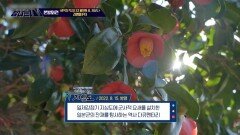 본방외전 - 광복절 특집 다큐 ＜비밀의 섬, 지심도＞, MBC 220902 방송