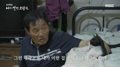 길고양이들의 부모가 되어준 엄택규 할아버지 ＂얘들은 나하고 한 식구야＂ , MBC 221224 방송