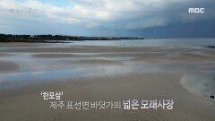 제주 4.3 사건의 비극성을 보여준 한강의 ＜작별하지 않는다＞, MBC 241216 방송