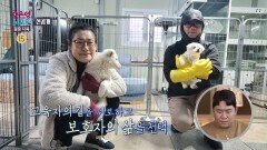 [오은영 리포트 - 결혼 지옥 선공개] 일상의 대부분을 동물들과 함께하는 동물 보호 활동가 부부, MBC 260504 방송