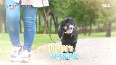 진단 3개월 후 다시 만난 '미남이'! 예전과는 180도 달라진 모습!, MBC 220713 방송