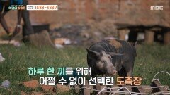 [MBC 나눔 프로젝트 희망의 발걸음] 생계와 꿈을 맞바꾼, 아이에게 가장 쓰라린 시간, MBC 260427 방송