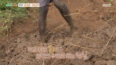 [MBC 나눔 프로젝트 희망의 발걸음] 뼛속까지 스미는 노동, 가족을 먹여 살려야 하는 12살 소년, MBC 260427 방송