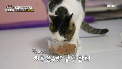 우여곡절 끝에 시작된 식사 시간 하나둘 모여드는 털뭉치들, MBC 240724 방송