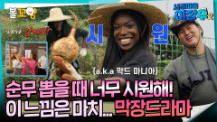 [시골마을이장우2] 순무 뽑을 때 너무 시원해! 이 느낌은 마치... 막장드라마 #엠뚜루마뚜루 #볼꼬양 MBC251021방송