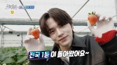 [설특집 전국1등 2회 예고] 핑크빛 딸기 파티 먹을수록 달콤한 딸기 대전의 승자는?, MBC 260223 방송