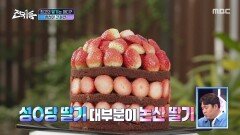 [설특집 전국1등] 논산 딸기로 만든 딸기 시루, 논산의 설향과 킹스 베리의 맛은?, MBC 260223 방송