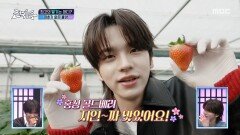 [설특집 전국1등] 투어스 신유X영재가 푹 빠진 홍성의 골드 베리 딸기!, MBC 260223 방송