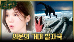 바닷가에서 발견된 괴물의 발자국🦖 거대한 발자국의 주인은?!, MBC 260208 방송 #서프라이즈미스터리살롱