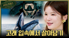 [서프살롱] 고래 입속에서 살아나온 남자 믿기지 않는 생존왕의 이야기, MBC 260503 방송 #서프라이즈미스터리살롱