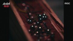 [사이비 헌터] 여러 윤리, 도덕적 문제들, 상당한 이단 문제, MBC 260526 방송