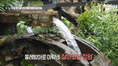물레방아로 이뤄낸 '살아있는 정원', MBC 220629 방송