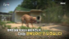 식당 옆 수상한 비닐하우스의 실체?, MBC 221123 방송