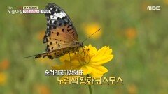 가을 여행은 여기가 딱!, 순천!, MBC 230925 방송