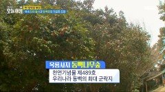 맨발의 사나이와 함께하는 진짜 ＂광양＂ 여행!, MBC 240319 방송