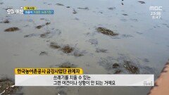 섬마을 쓰레기 미스터리?!, MBC 240723 방송