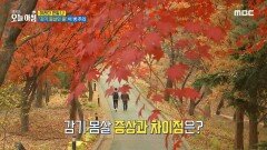 감기 몸살과 증상이 비슷한 '이 병'을 주의하세요!, MBC 241114 방송