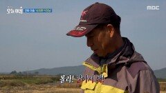 이장과 아내의 순무밭 동상이몽, MBC 251028 방송 이장과 아내의 순무밭 동상이몽, MBC 251028 방송