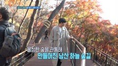 남산의 매력을 담은 길을 걷다, MBC 251117 방송