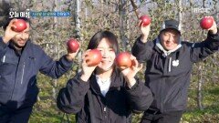 사과밭 삼 남매의 재미난 일상, MBC 251201 방송