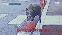 도심에 나타난 120kg 멧돼지, MBC 251204 방송